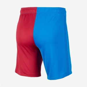 Soccer Shorts